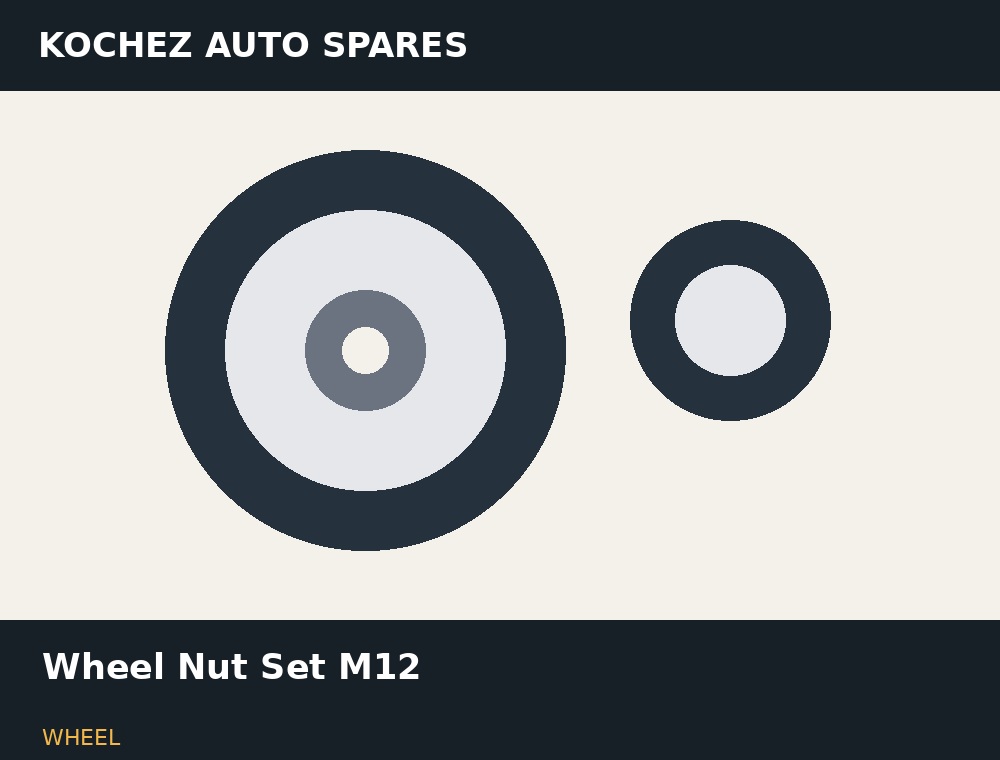Wheel Nut Set M12