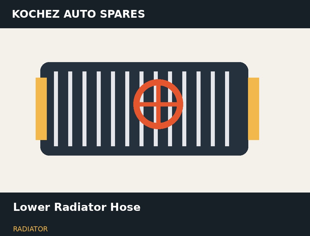 Lower Radiator Hose